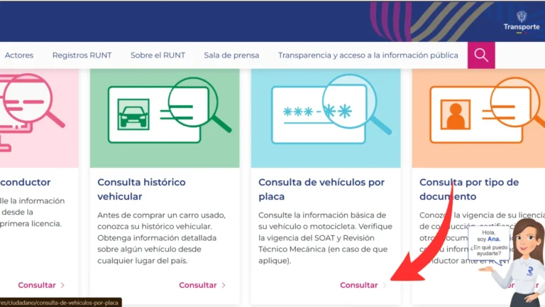 Paso 2: Selecciona "Consulta Ciudadana" → "Consulta de Vehículo"