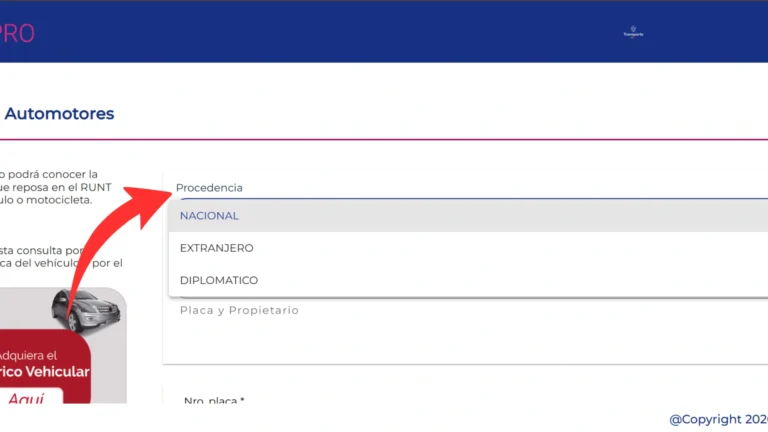 Paso 3: Elige el origen del vehículo (Nacional, Extranjero o Diplomático)
