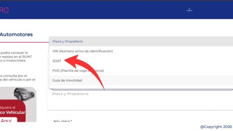 Paso 4: En "Consultar por", elige "SOAT" o "Placa y Propietario"