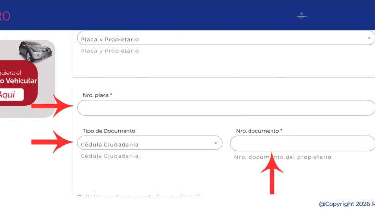 Paso 5: Ingresa el número de placa (y el documento del propietario si aplica)