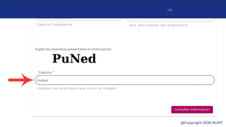 Paso 6 Completa el CAPTCHA de seguridad
