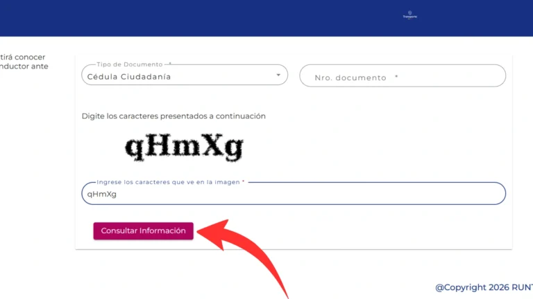 Paso 6: Haz clic en "Consultar Información" y revisa los resultados Paso 6: Haz clic en "Consultar Información" y revisa los resultados