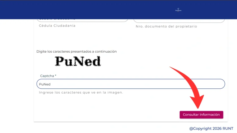 Paso 7 Haz clic en "Consultar Información" y revisa el resultado