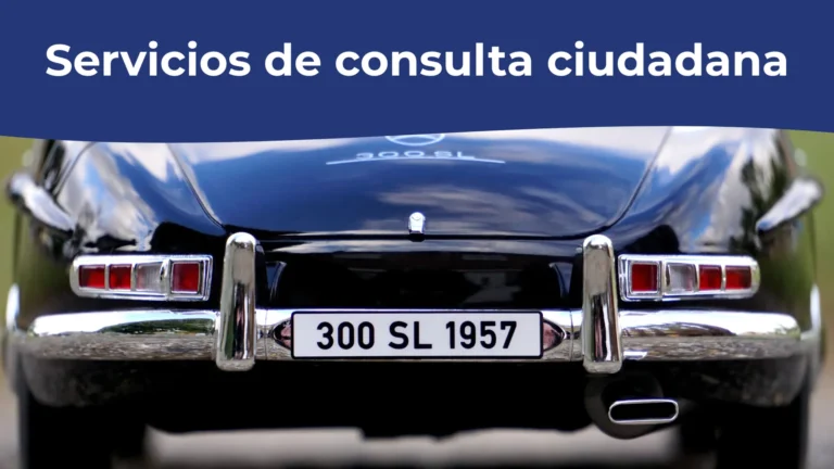 Servicios de consulta ciudadana