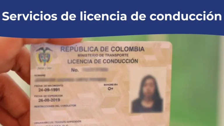 Servicios de licencia de conducción