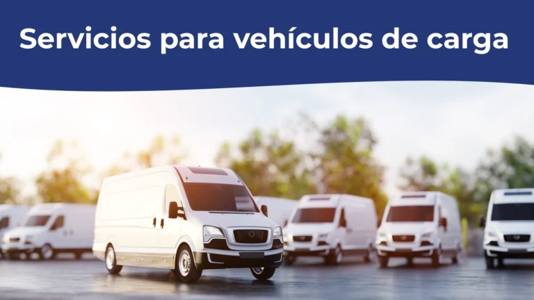 Servicios para vehículos de carga